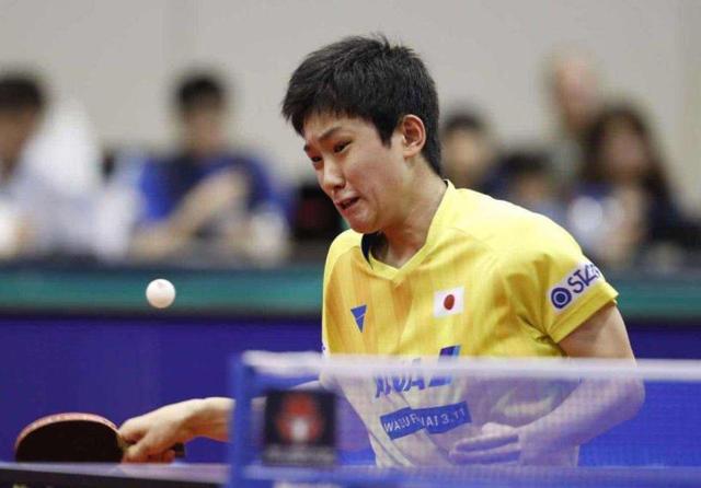 还大大减少 还大大减少