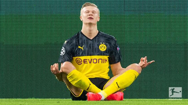 多项运动科 多项运动科